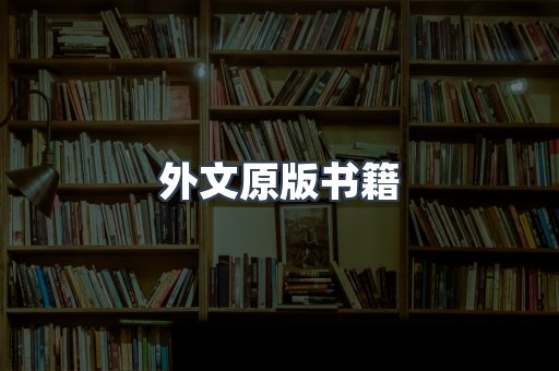 海外电子书
